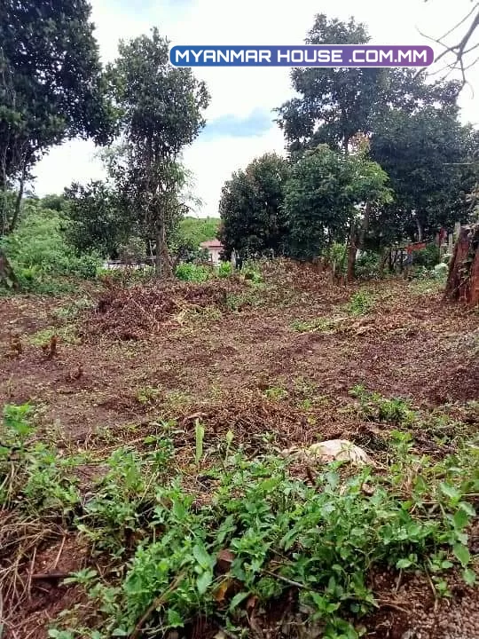 က လောၿမိဳ့ရက္ကြက္(၈) ၄၀x၈၀ေပ ရွိေသာေျမကြက္ ေရာင္းရန္ရွိပါသည္ (၁၀၅)ၿမိဳ့ေျမ ၿခံထိကားလမ္းေပါက္  ေစ်းႏူန္း 👉👉👉(၄၅၀)ညႇိနိူင္း  ☎☎☎09253351290/